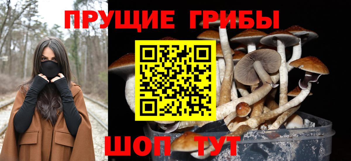 Псилоцибиновые грибы Magic Shrooms Чебаркуль