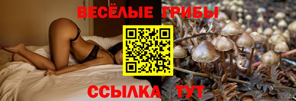 Галлюциногенные грибы MAGIC MUSHROOMS  Вход с VPN  Галлюциногенные грибы мицелий  Чебаркуль 